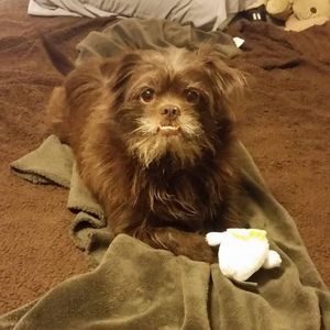 Meet your Posher, Hilary